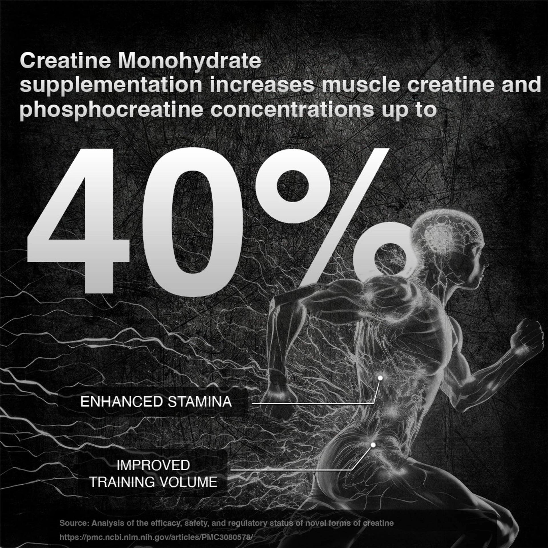 BeastLife Creatine Monohydrate | 166 Servings | Micronised Creatine| NABL Lab Tested Creatine